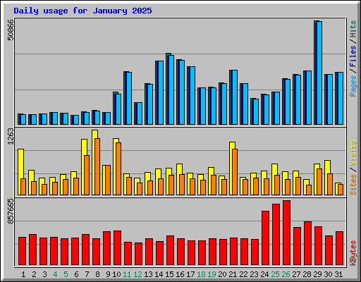 Daily usage for January 2025
