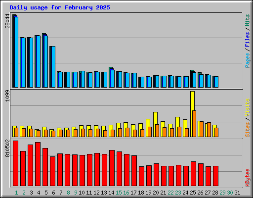 Daily usage for February 2025