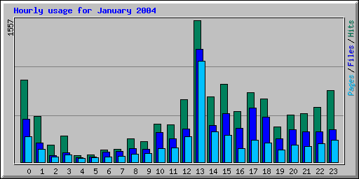 Hourly usage for January 2004