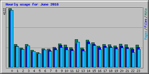 Hourly usage for June 2016