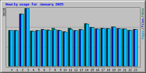 Hourly usage for January 2025