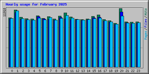 Hourly usage for February 2025