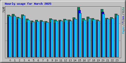 Hourly usage for March 2025