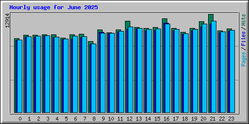 Hourly usage for June 2025