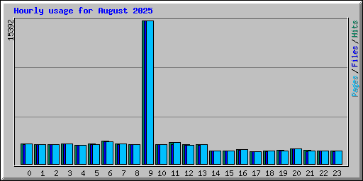 Hourly usage for August 2025