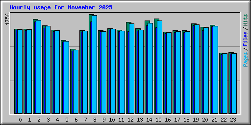 Hourly usage for November 2025