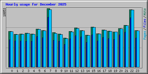 Hourly usage for December 2025